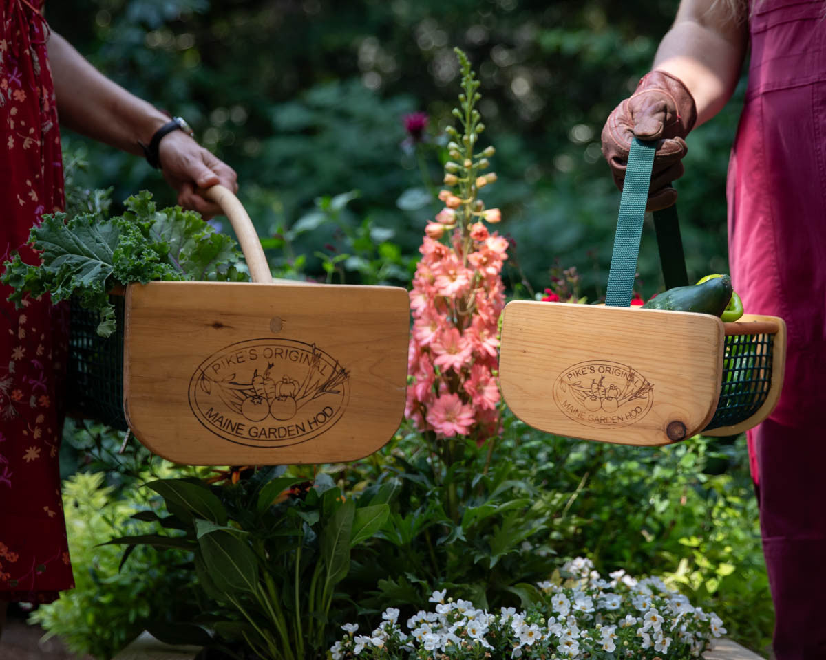 Baby Hod pictured with the Maine Garden Hod 