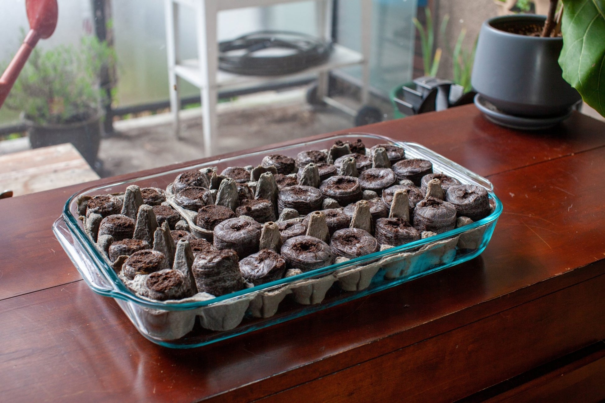 Jiffy Seed Starting Pellets - 42mm 100 Pellets