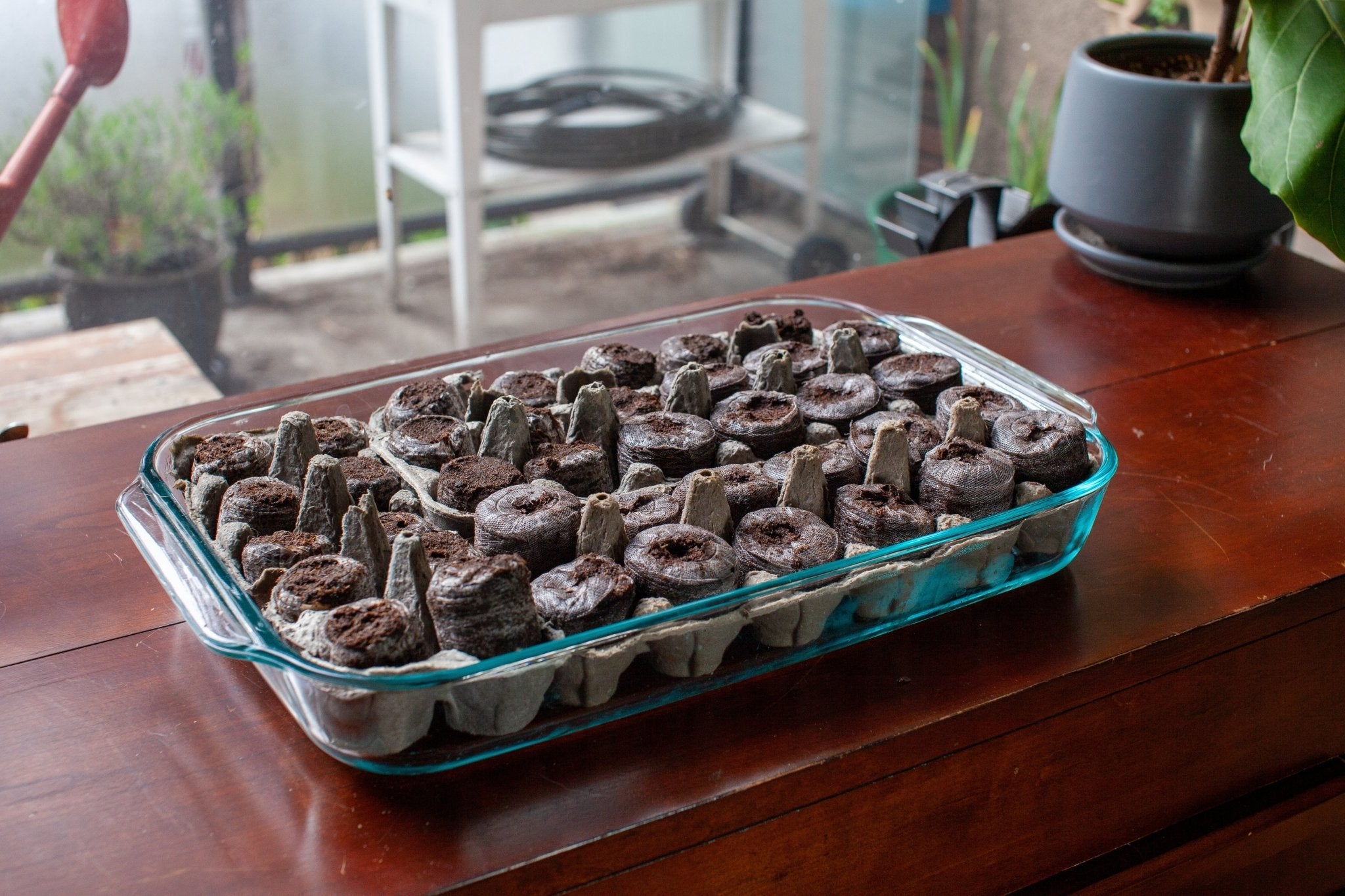 Jiffy Seed Starting Pellets - 42mm 100 Pellets