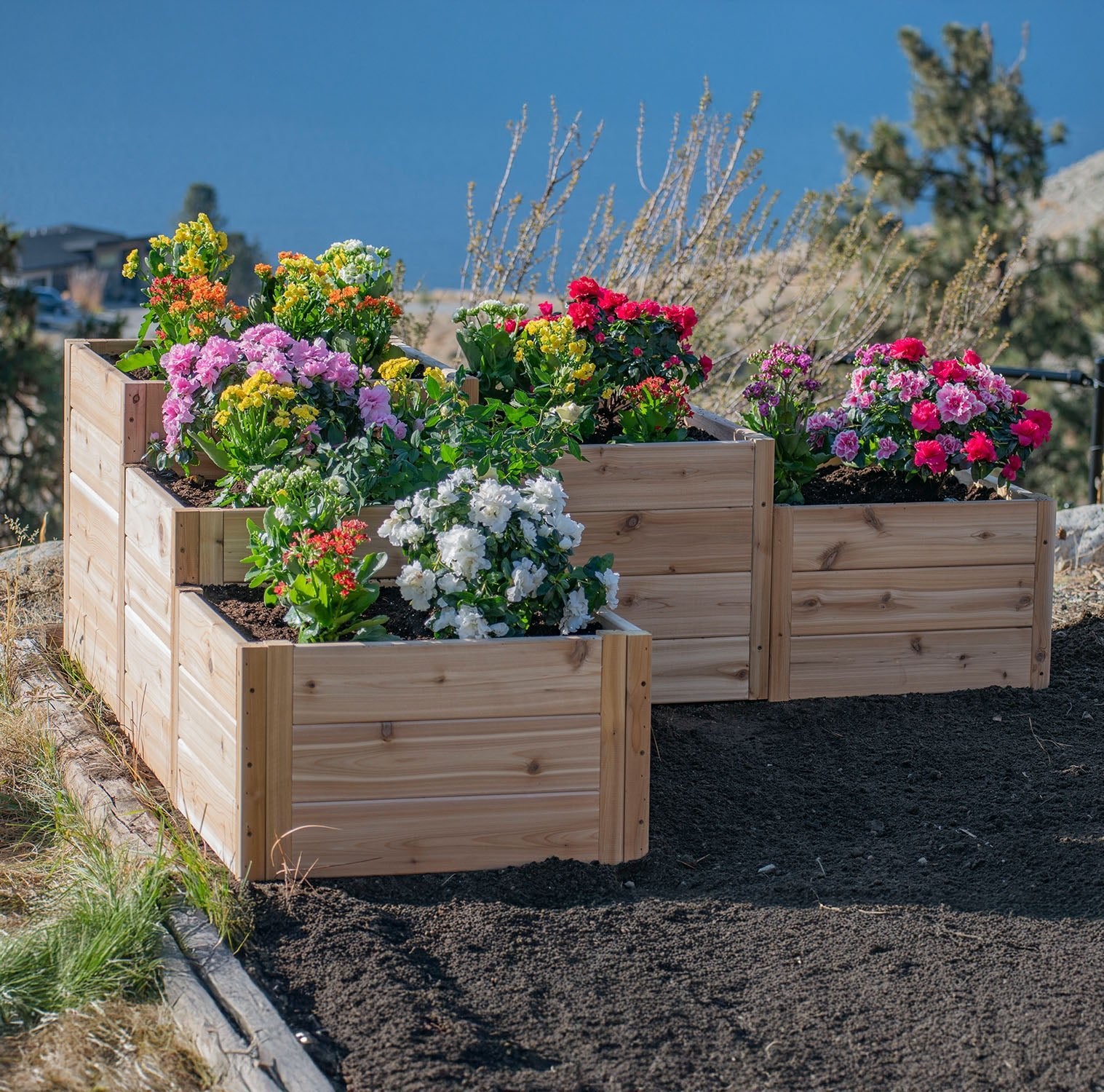 L-Shaped Tiered Cedar Garden Bed 5.5' x 2' - Eartheasy