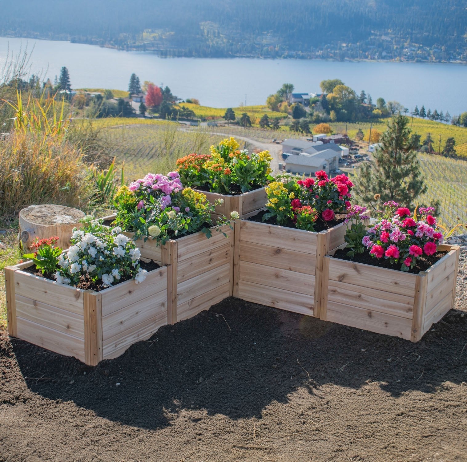 L-Shaped Tiered Cedar Garden Bed 5.5' x 2' - Eartheasy