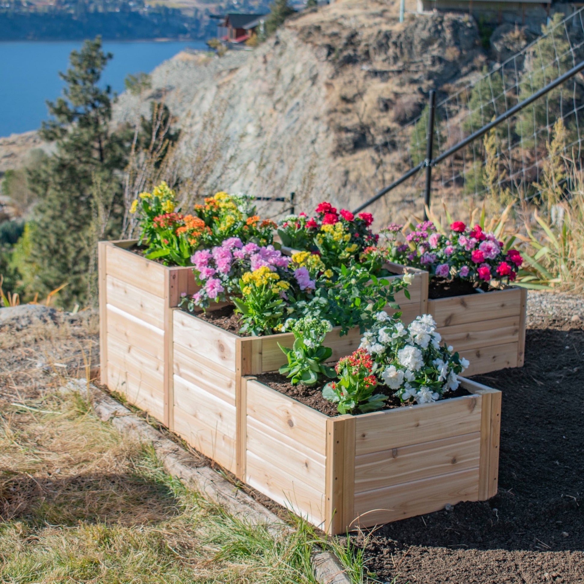 L-Shaped Tiered Cedar Garden Bed 5.5' x 2'