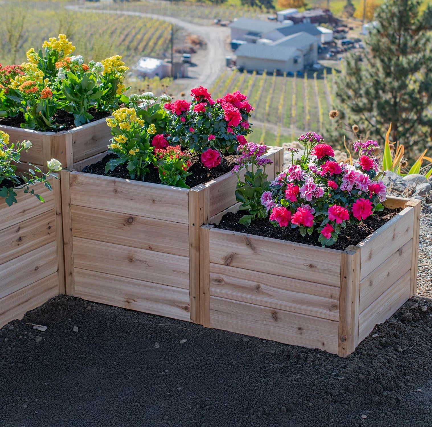 L-Shaped Tiered Cedar Garden Bed 5.5' x 2' - Eartheasy