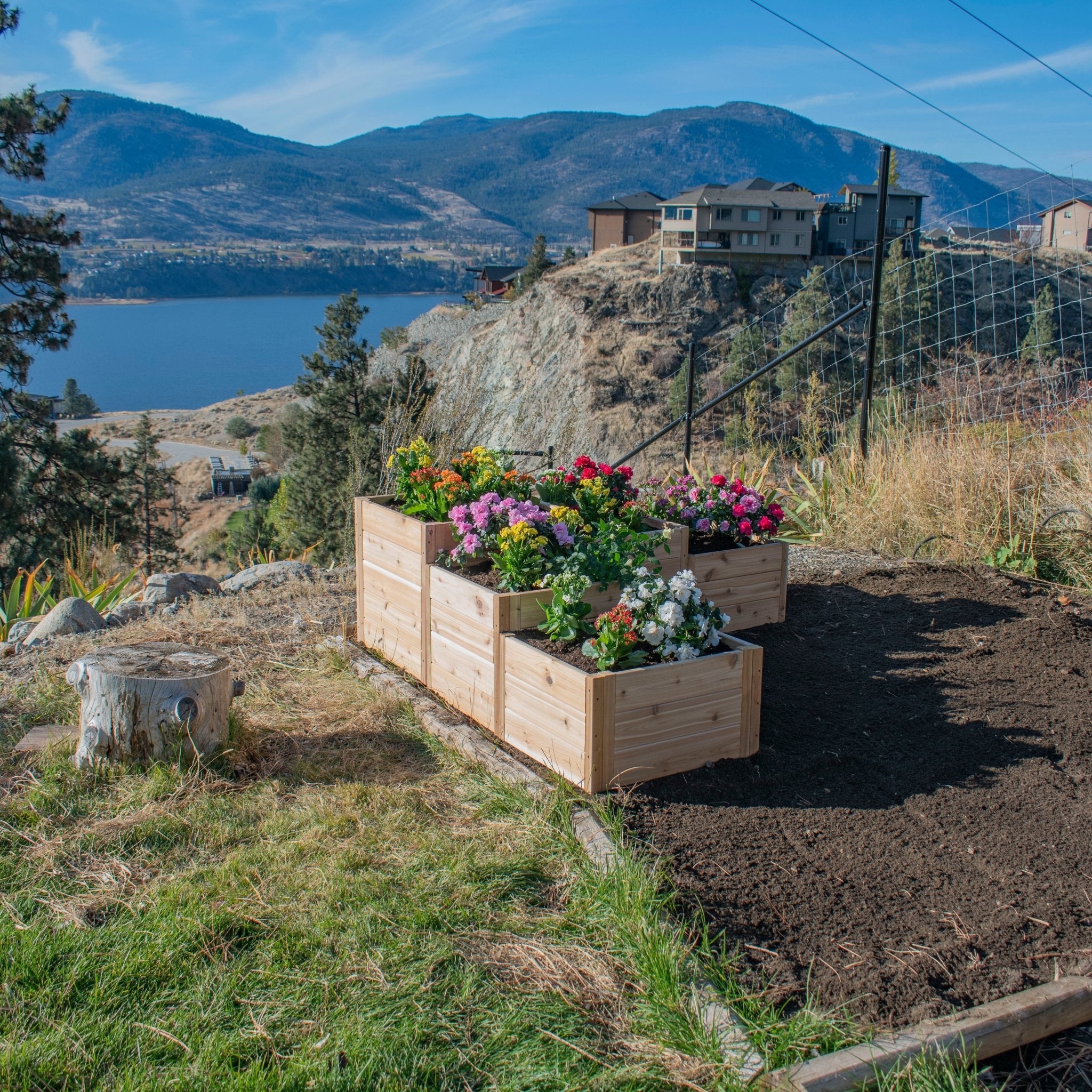 L-Shaped Tiered Cedar Garden Bed 5.5' x 2' - Eartheasy