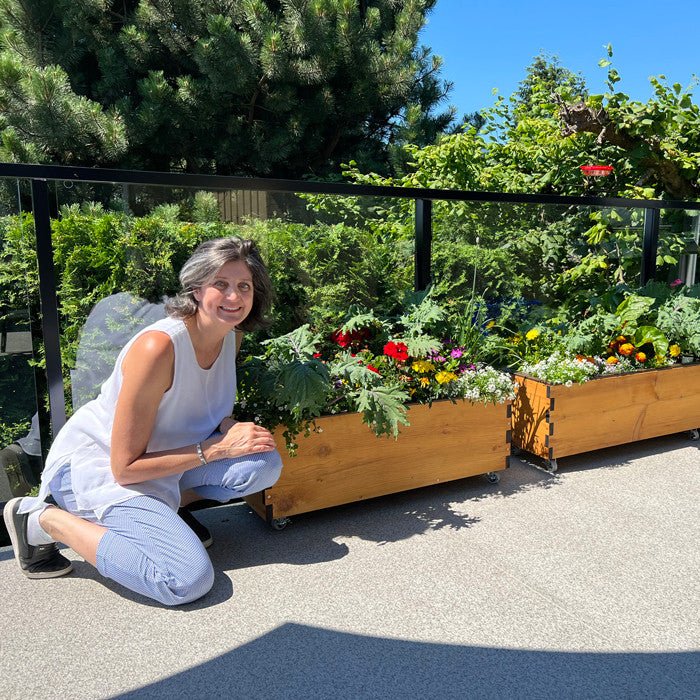 LowRider Self-Watering Cedar Planter Coastal None option3