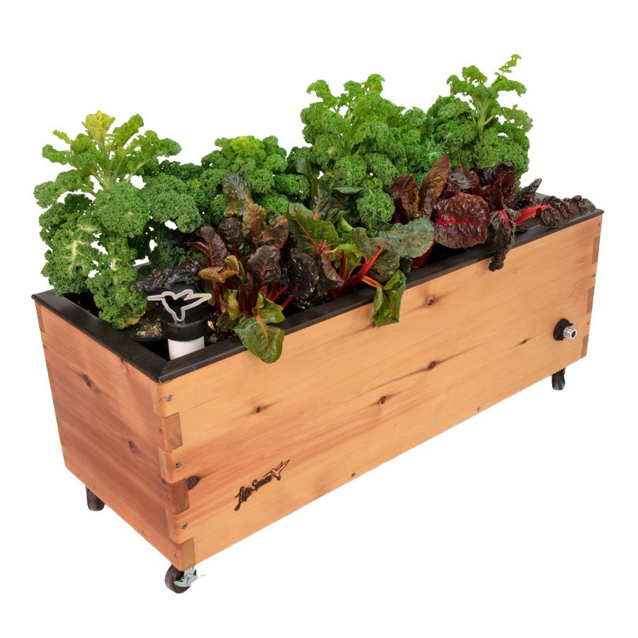 LowRider Self-Watering Cedar Planter Raw Cedar None option3
