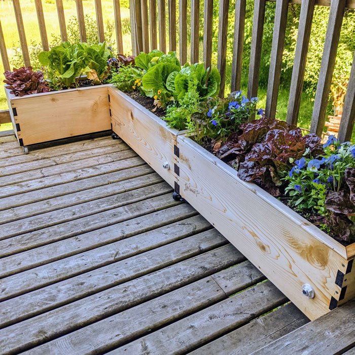 LowRider Self-Watering Cedar Planter Silver Patina None option3