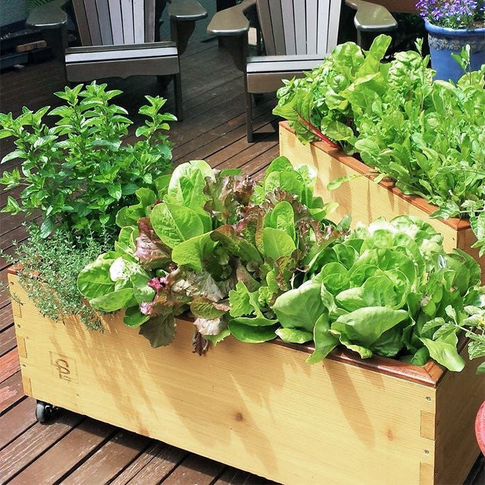 LowRider Self-Watering Cedar Planter Silver Patina None option3