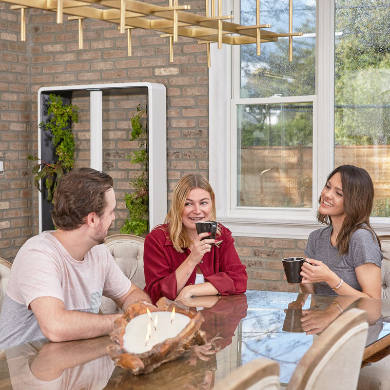 The Aeva - Indoor Vertical Hydroponic Garden System