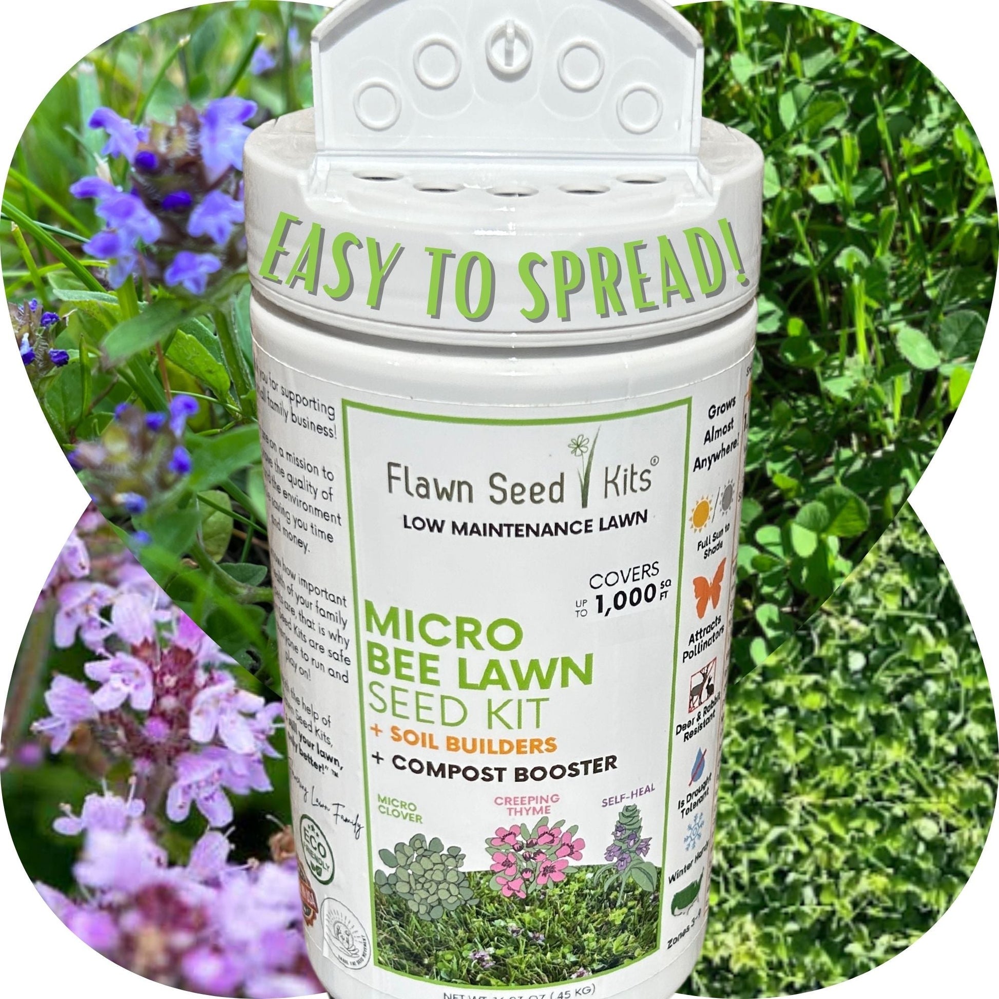 Micro Bee Lawn Blend - Micro Clover, Self-Heal, & Creeping Thyme Seed Kit 250 sq ft