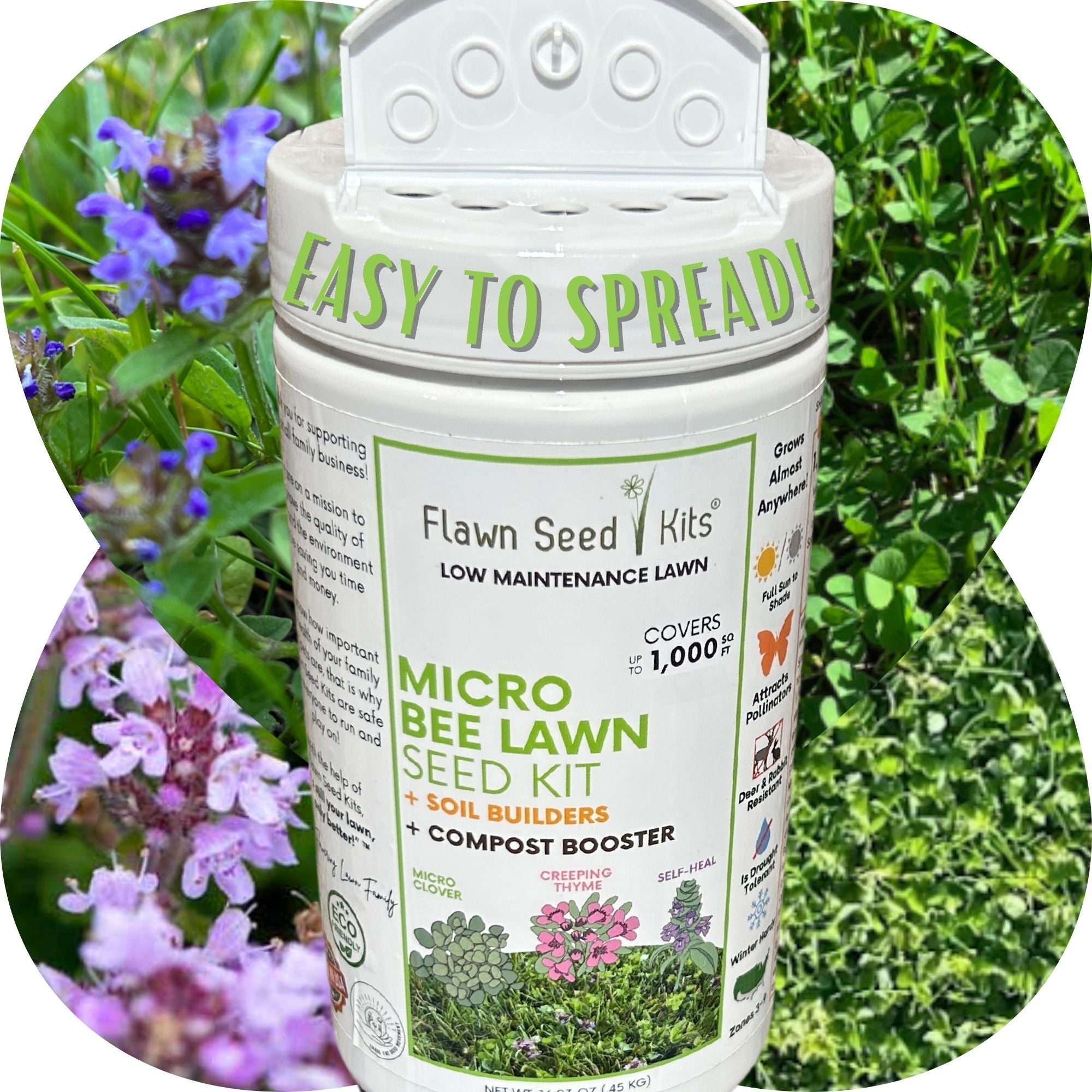 Micro Bee Lawn Blend - Micro Clover, Self-Heal, & Creeping Thyme Seed Kit 250 sq ft