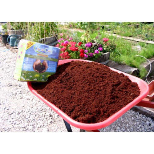 Coconut Coir Bricks