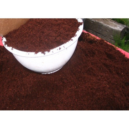 Coconut Coir Bricks