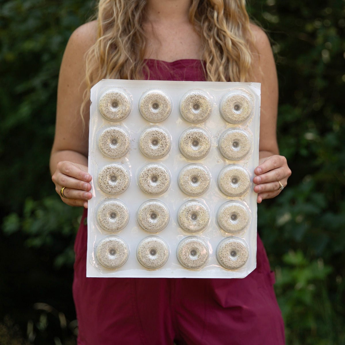 Mosquito Dunks