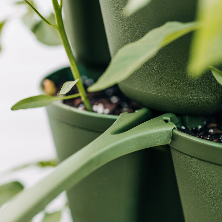 Plant Supports for GreenStalk Vertical Planter