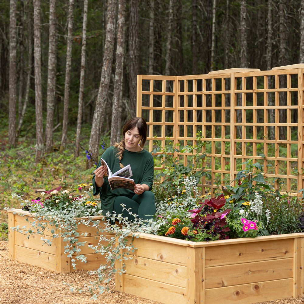 Natural Cedar 12' U-Shaped Raised Beds with Trellis 8' 11"