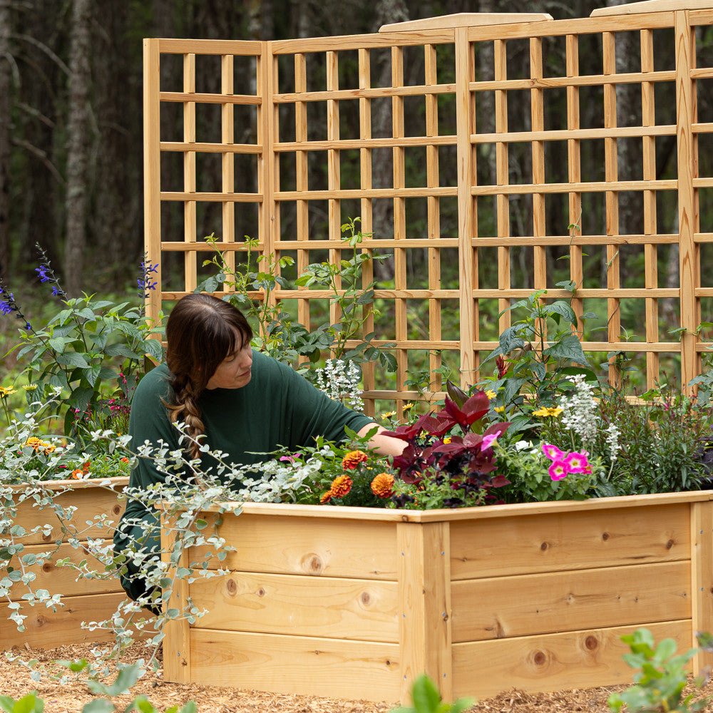Natural Cedar 12' U-Shaped Raised Beds with Trellis 8' 11"