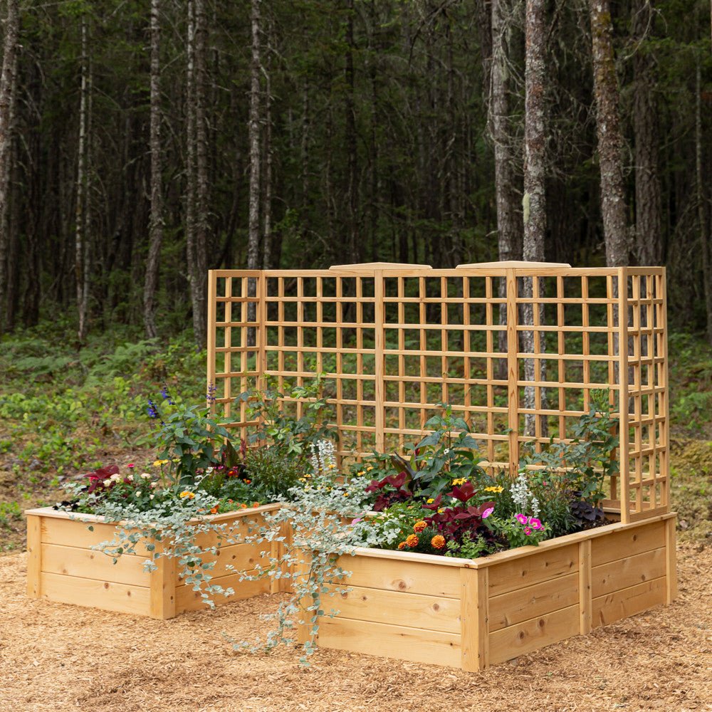 Natural Cedar 12' U-Shaped Raised Beds with Trellis 8' 11"