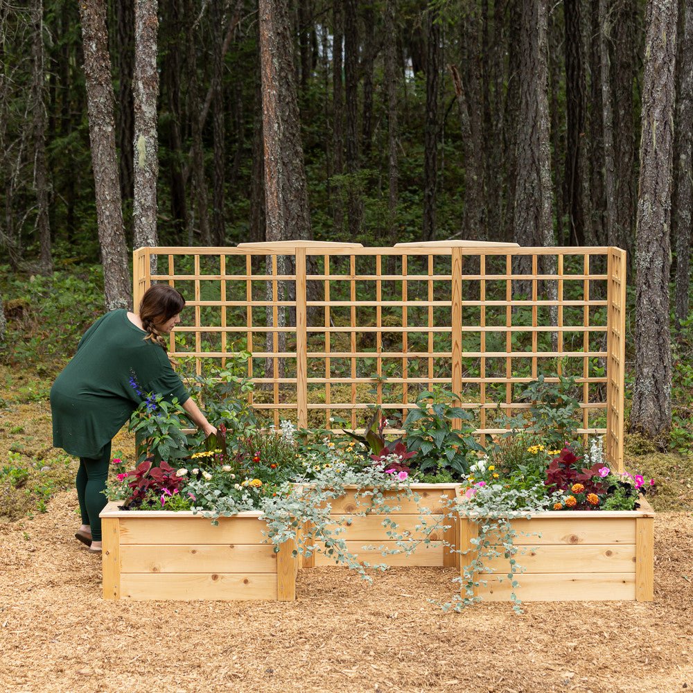 Natural Cedar 7.5' U-Shaped Raised Bed with Trellis 5' 11" option3