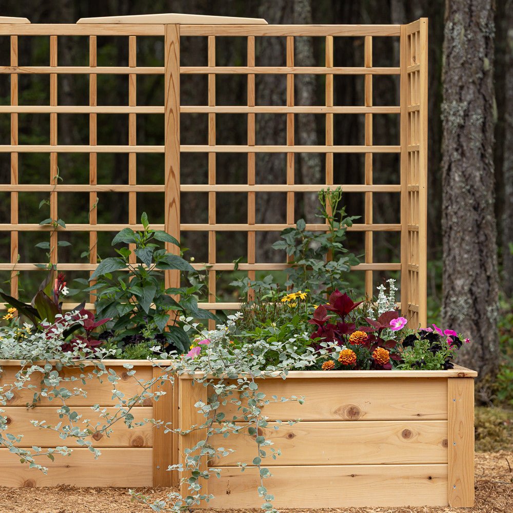 Natural Cedar 9' U-Shaped Raised Bed with Trellis 6' 11"