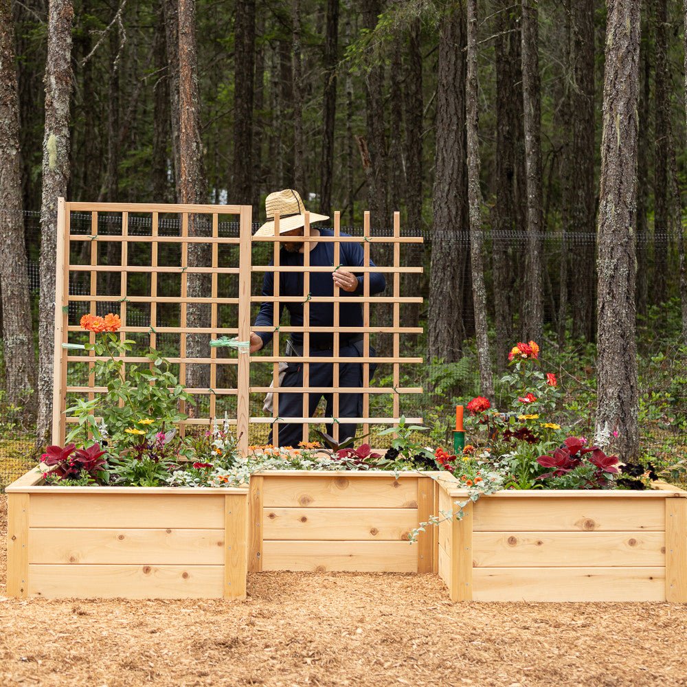 Natural Cedar 9' U-Shaped Raised Bed with Trellis 6' 11"