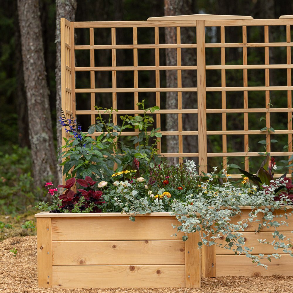 Natural Cedar 9' U-Shaped Raised Bed with Trellis 6' 11"