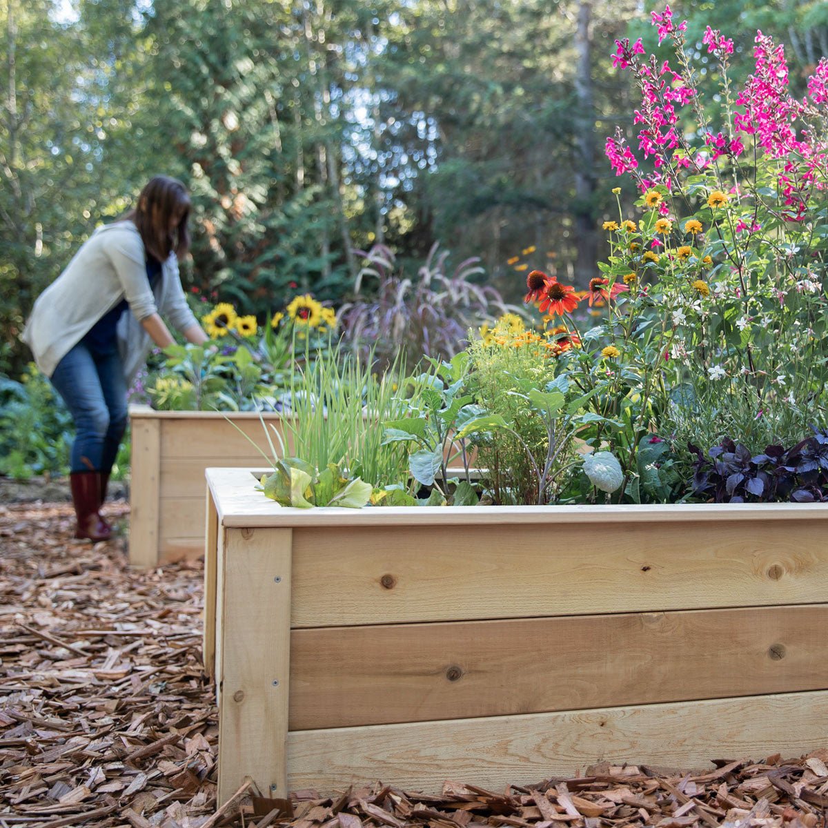 Natural Cedar 9' U-Shaped Raised Garden Beds 6' 11"