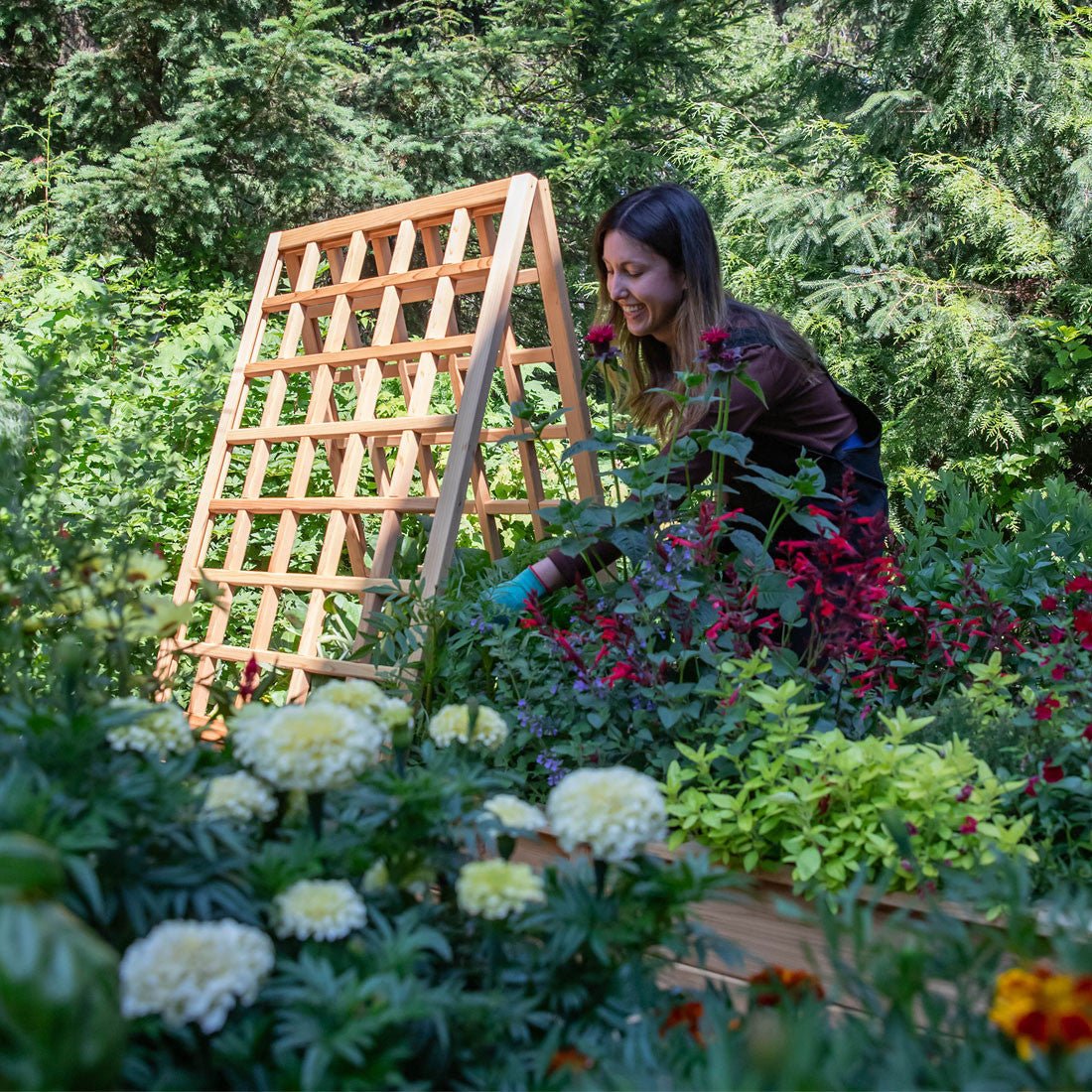 Natural Cedar A-Frame Trellises Small (30" x 42")