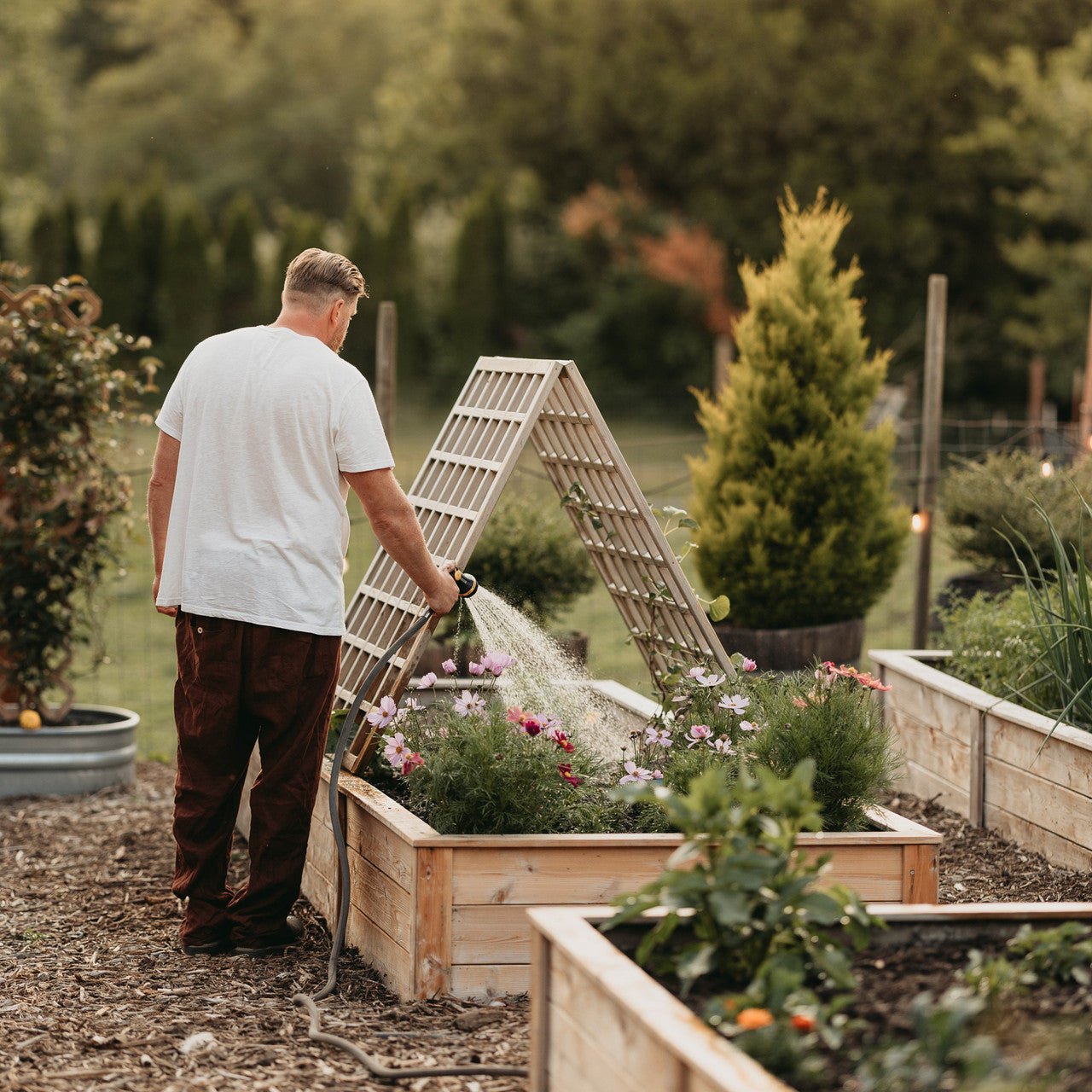 Natural Cedar A-Frame Trellises Small (30" x 42")