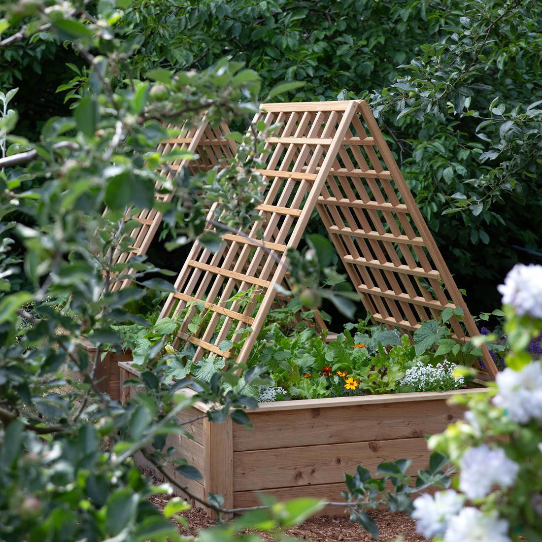 Natural Cedar A-Frame Trellises Small (30" x 42")