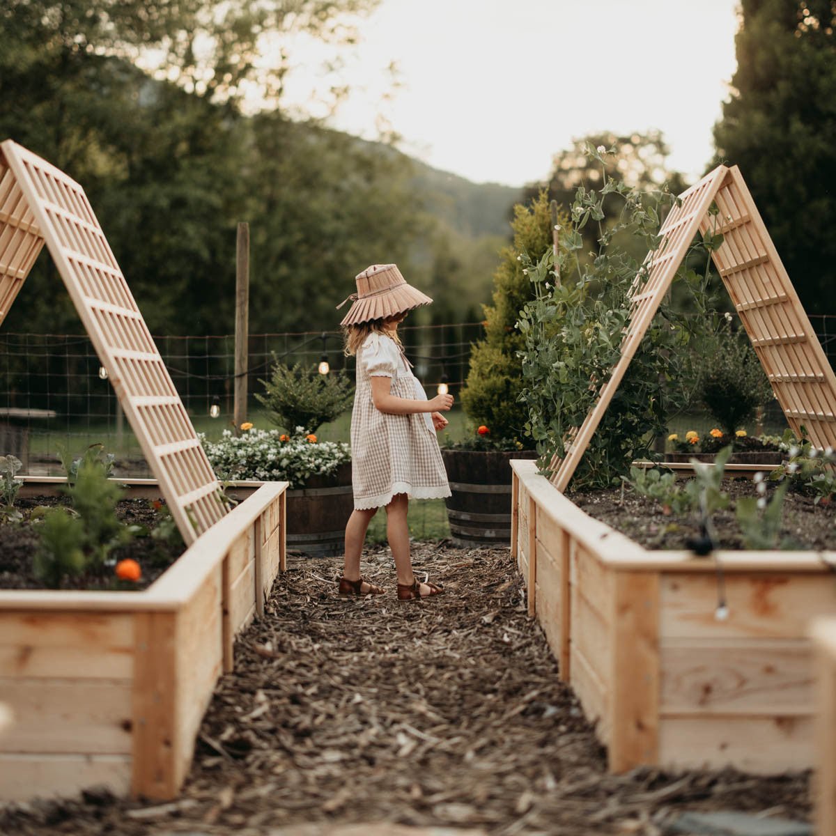 Natural Cedar A-Frame Trellises Small (30" x 42")