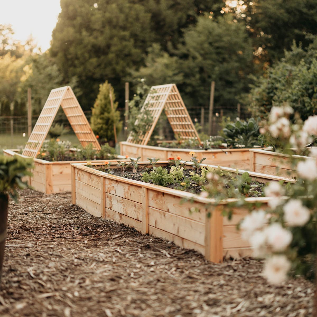 Natural Cedar A-Frame Trellises Small (30" x 42")