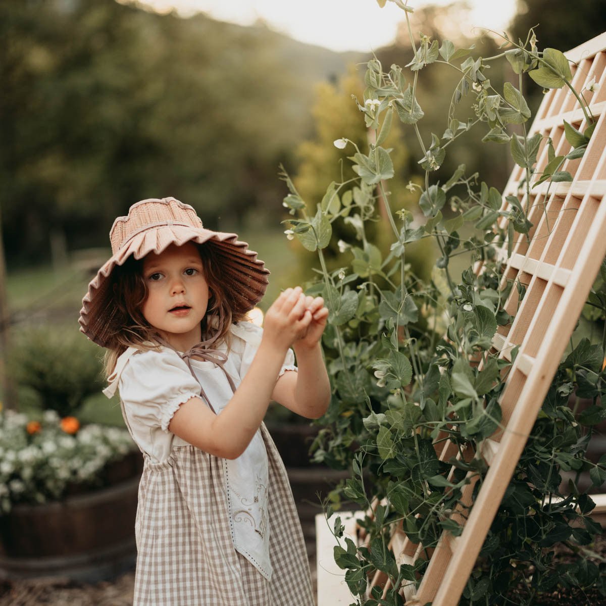 Natural Cedar A-Frame Trellises Small (30" x 42")