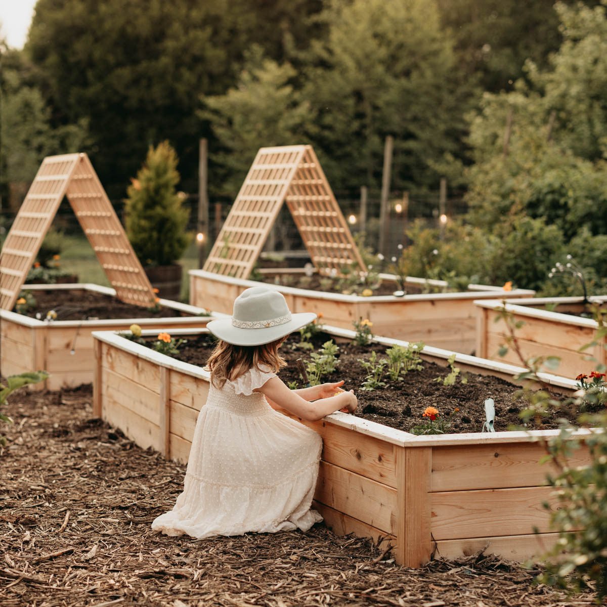 Natural Cedar A-Frame Trellises Small (30" x 42")