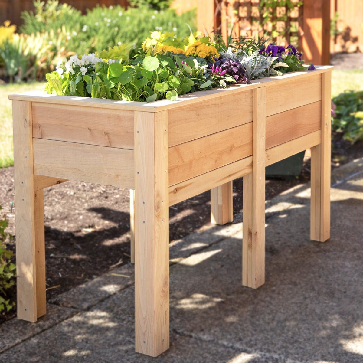 Natural Cedar Elevated Garden Planter 20" 20" option3