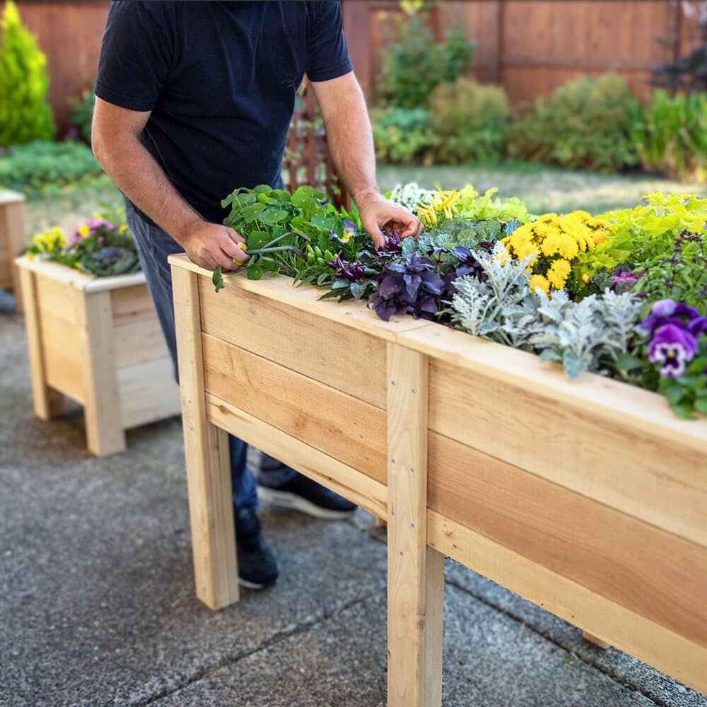Natural Cedar Elevated Garden Planter 20" 20" option3