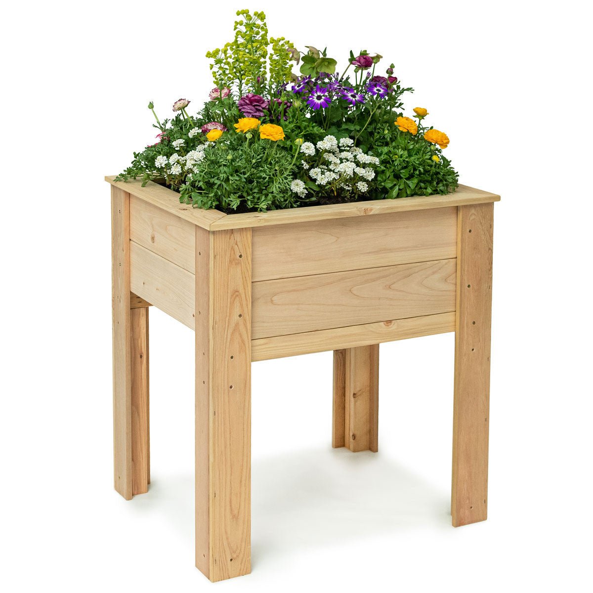 Natural Cedar Elevated Garden Planter 20" 20" option3