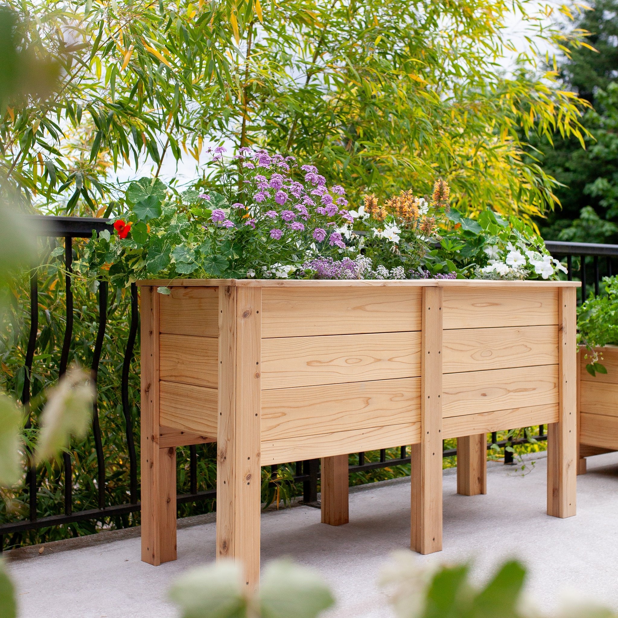 Natural Cedar Elevated Garden Planter 20" 20" option3