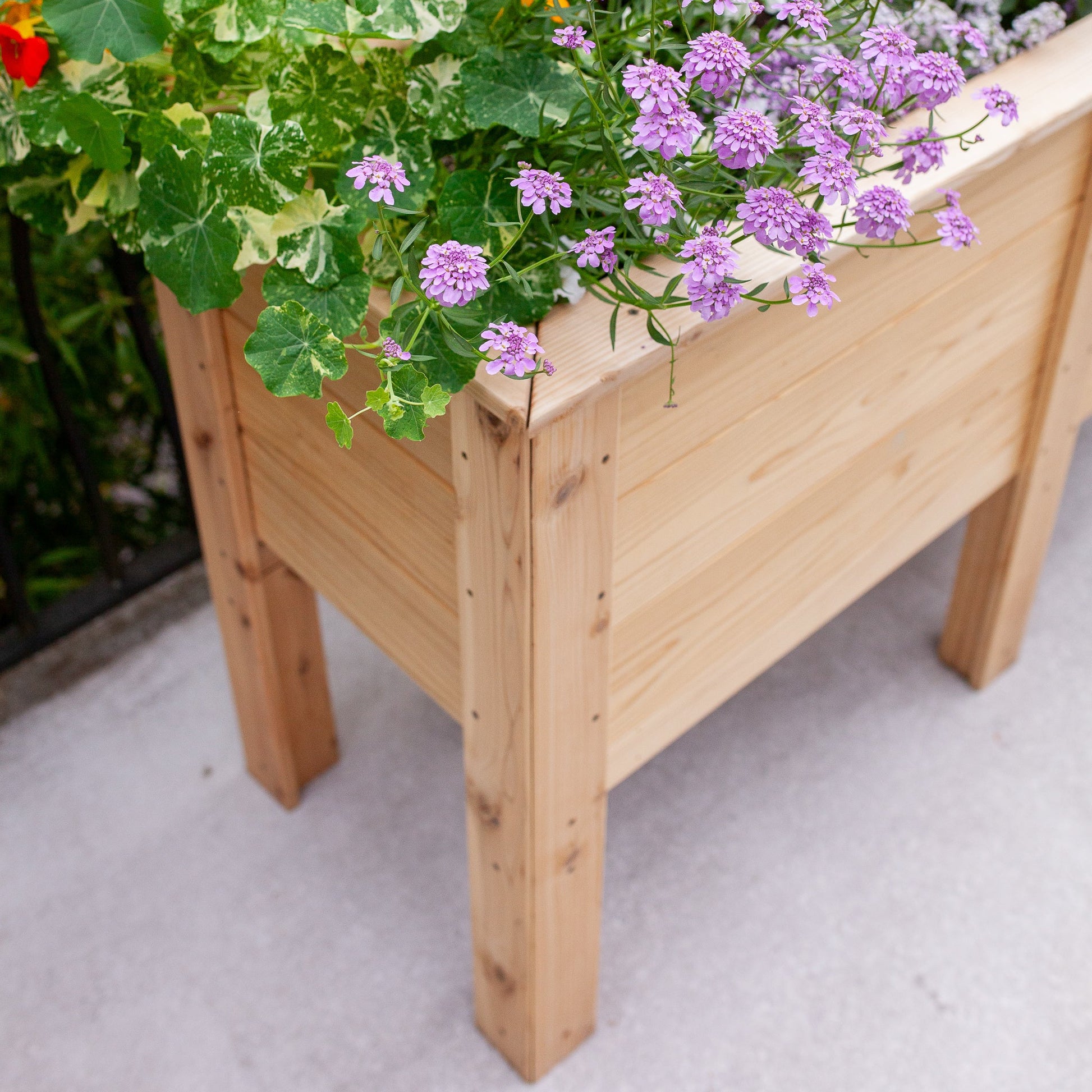 Natural Cedar Elevated Garden Planter 20" 20" option3