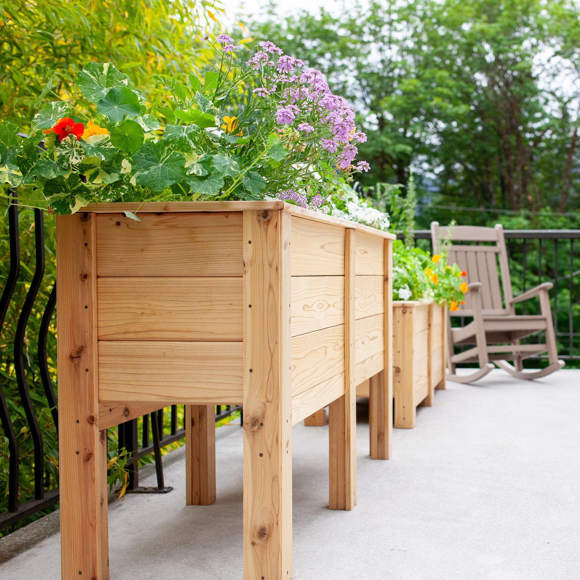 Natural Cedar Elevated Garden Planter 20" 20" option3