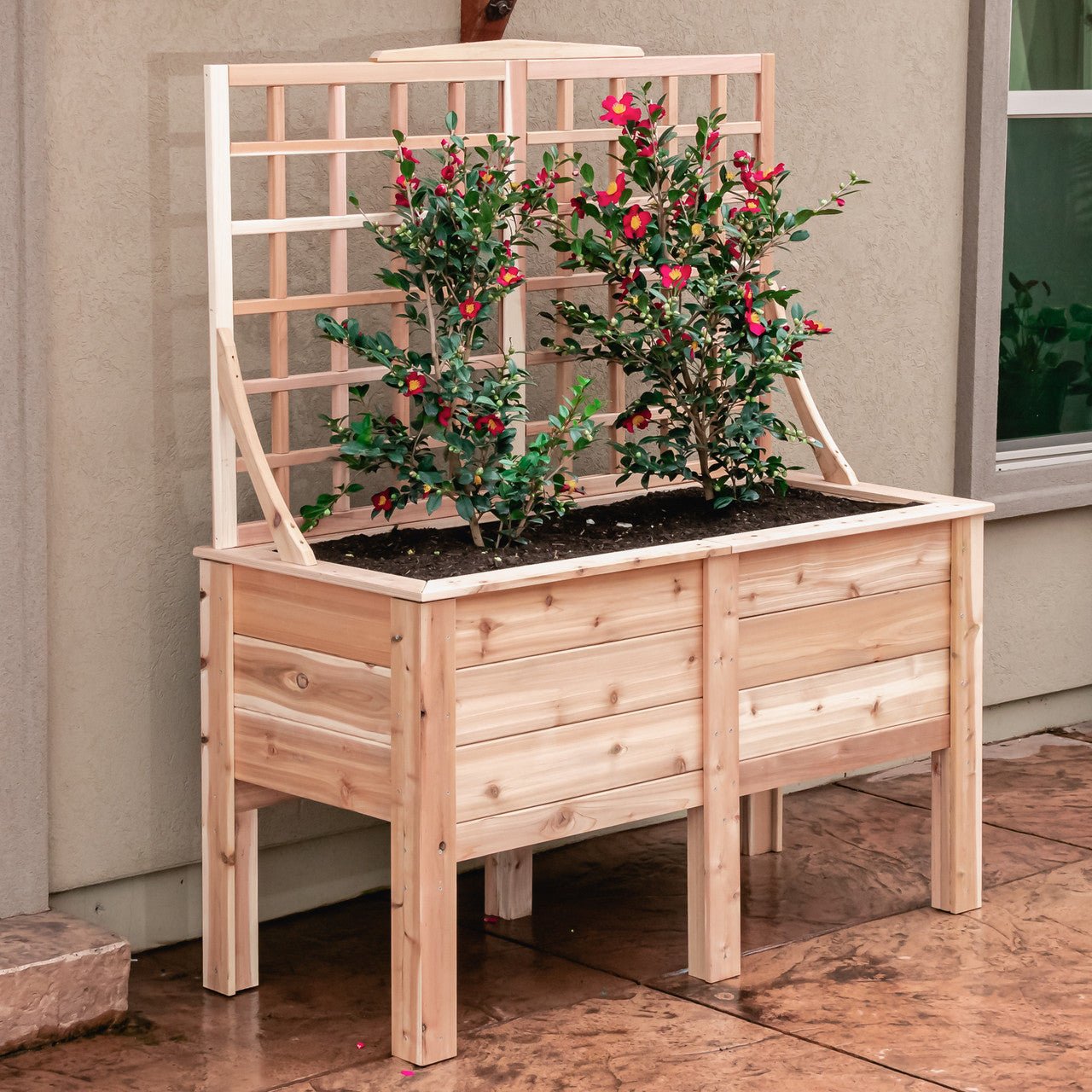 Natural Cedar Elevated Planter with Trellis 20" 20" 11"