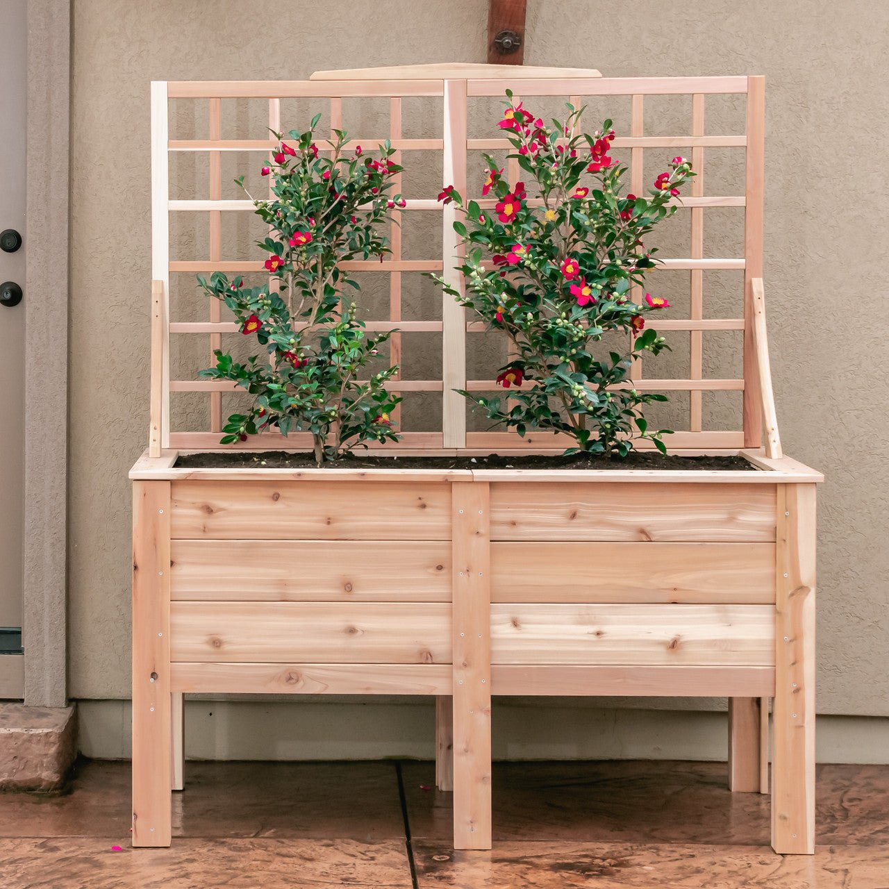 Natural Cedar Elevated Planter with Trellis 20" 20" 11"
