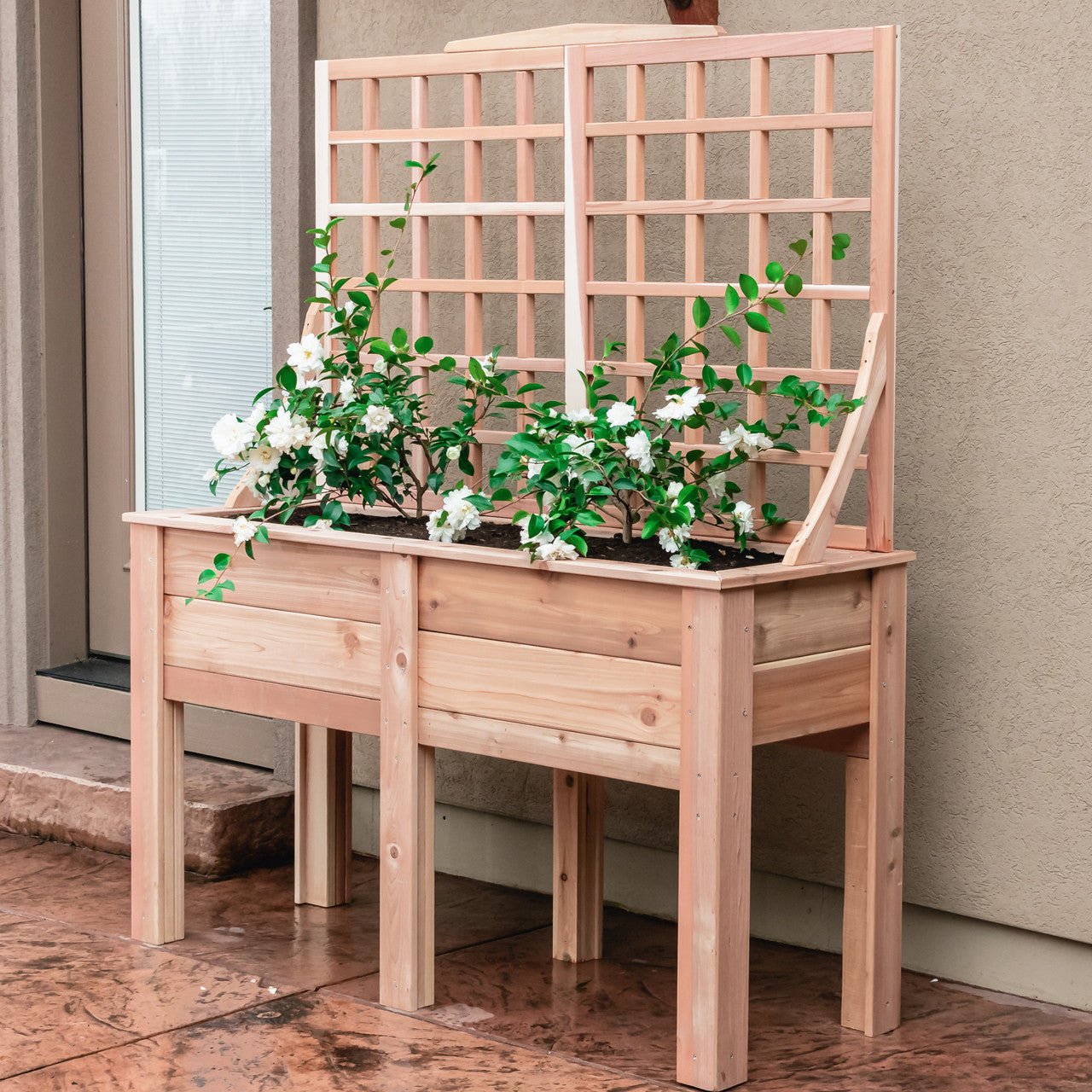 Natural Cedar Elevated Planter with Trellis 20" 20" 11"