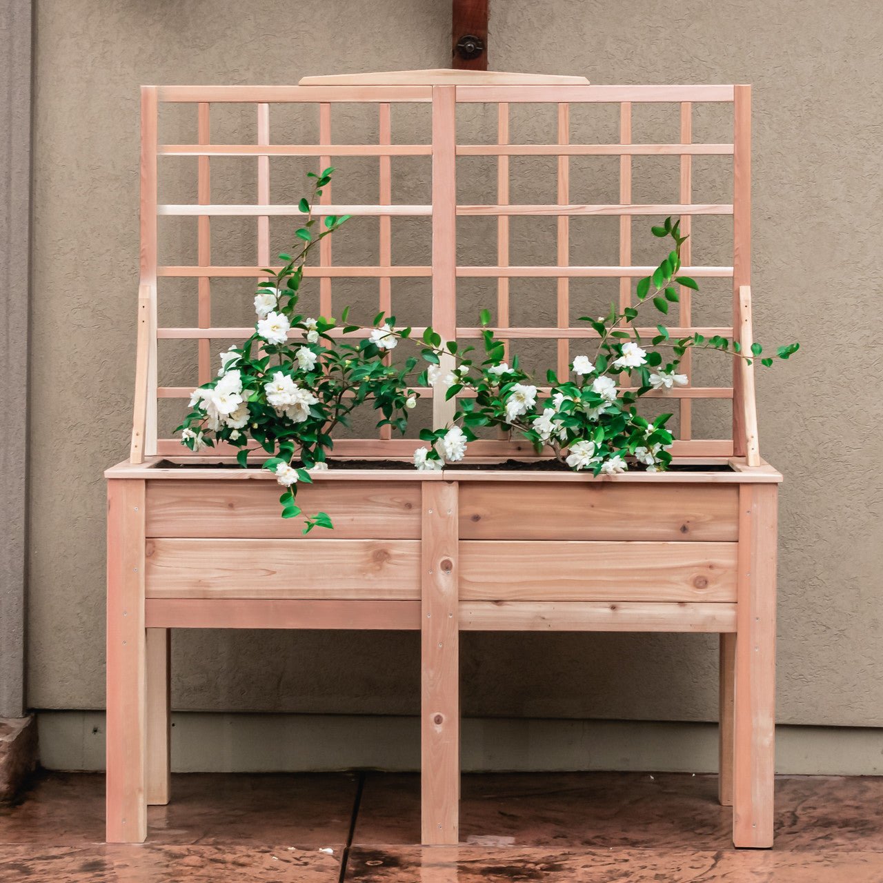 Natural Cedar Elevated Planter with Trellis 20" 20" 11"
