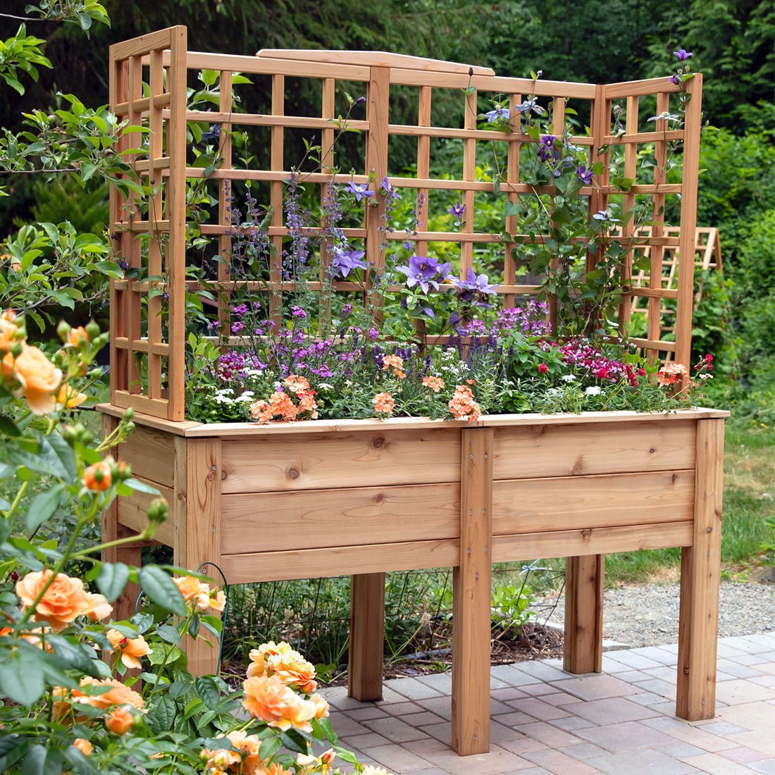 Natural Cedar Elevated Planter with U-Trellis 20" 44" 11"