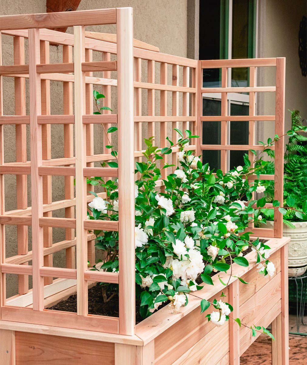 Natural Cedar Elevated Planter with U-Trellis 20" 44" 11"