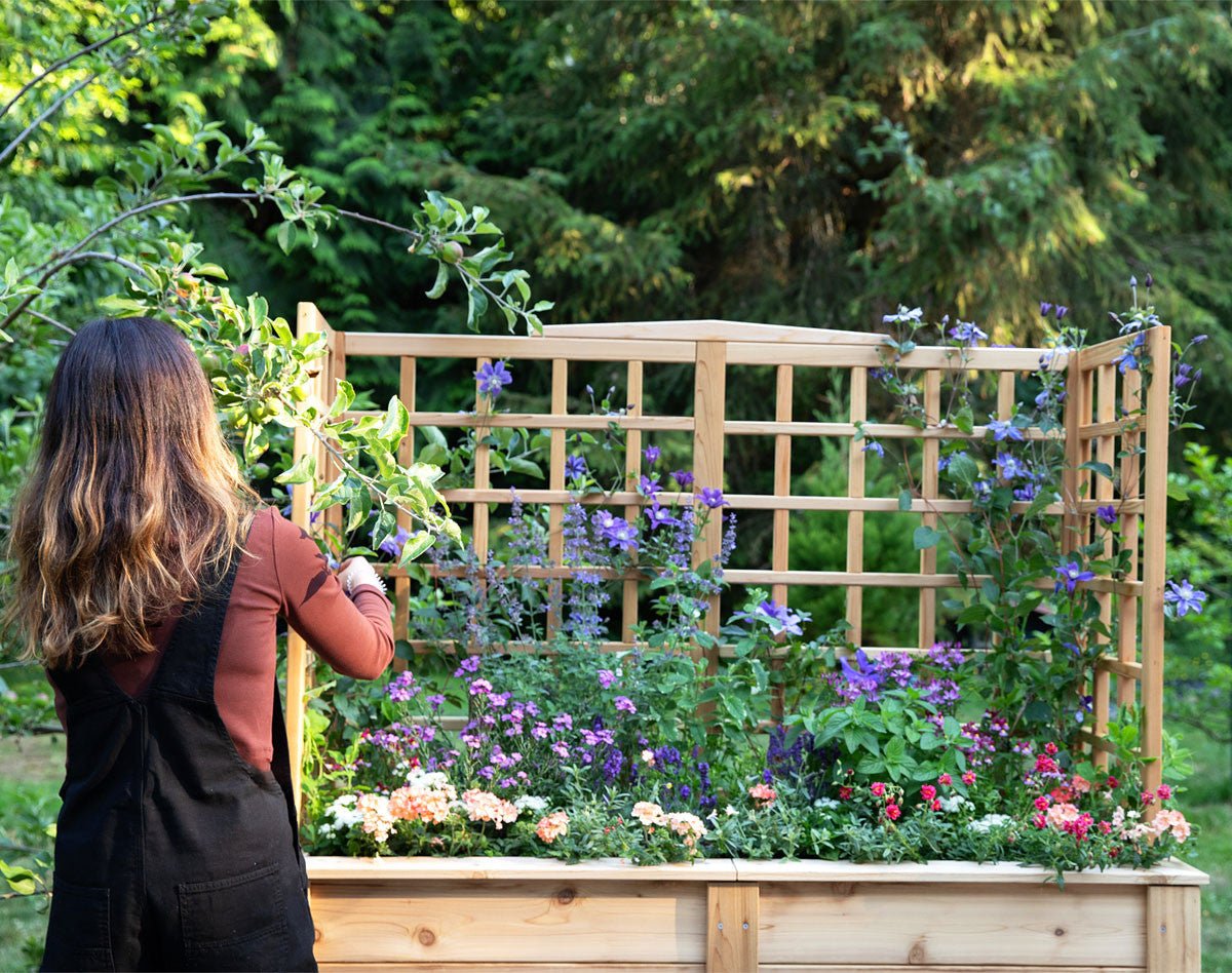 Natural Cedar Elevated Planter with U-Trellis 20" 44" 11"