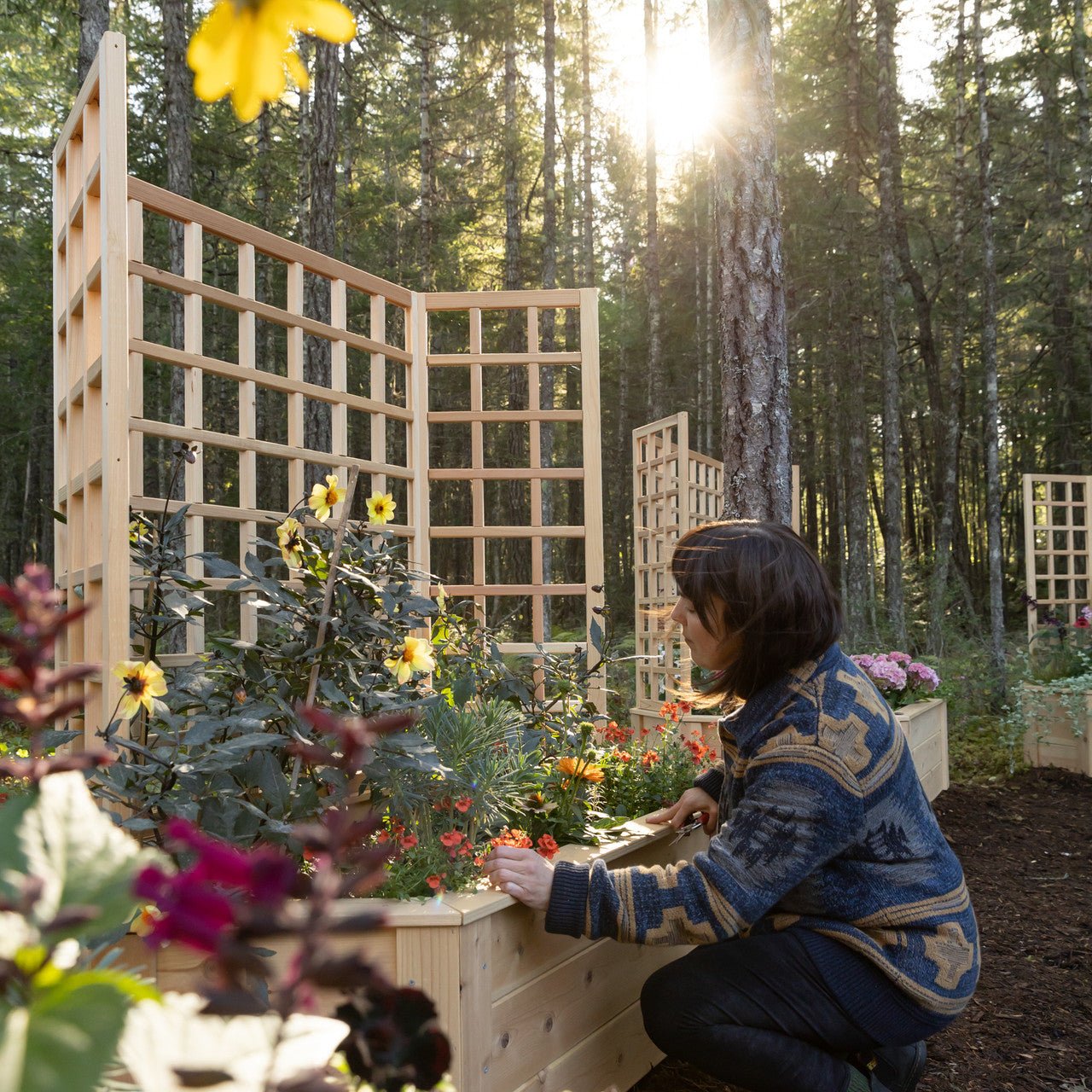Natural Cedar Hexagon Raised Beds with Trellis 3' 3' option3