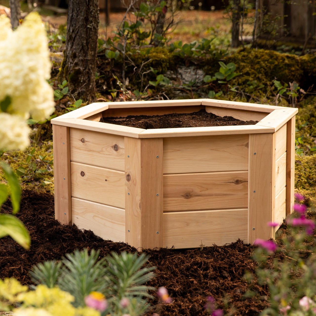 Natural Cedar Hexagon Raised Beds 2' 2' 5.5"