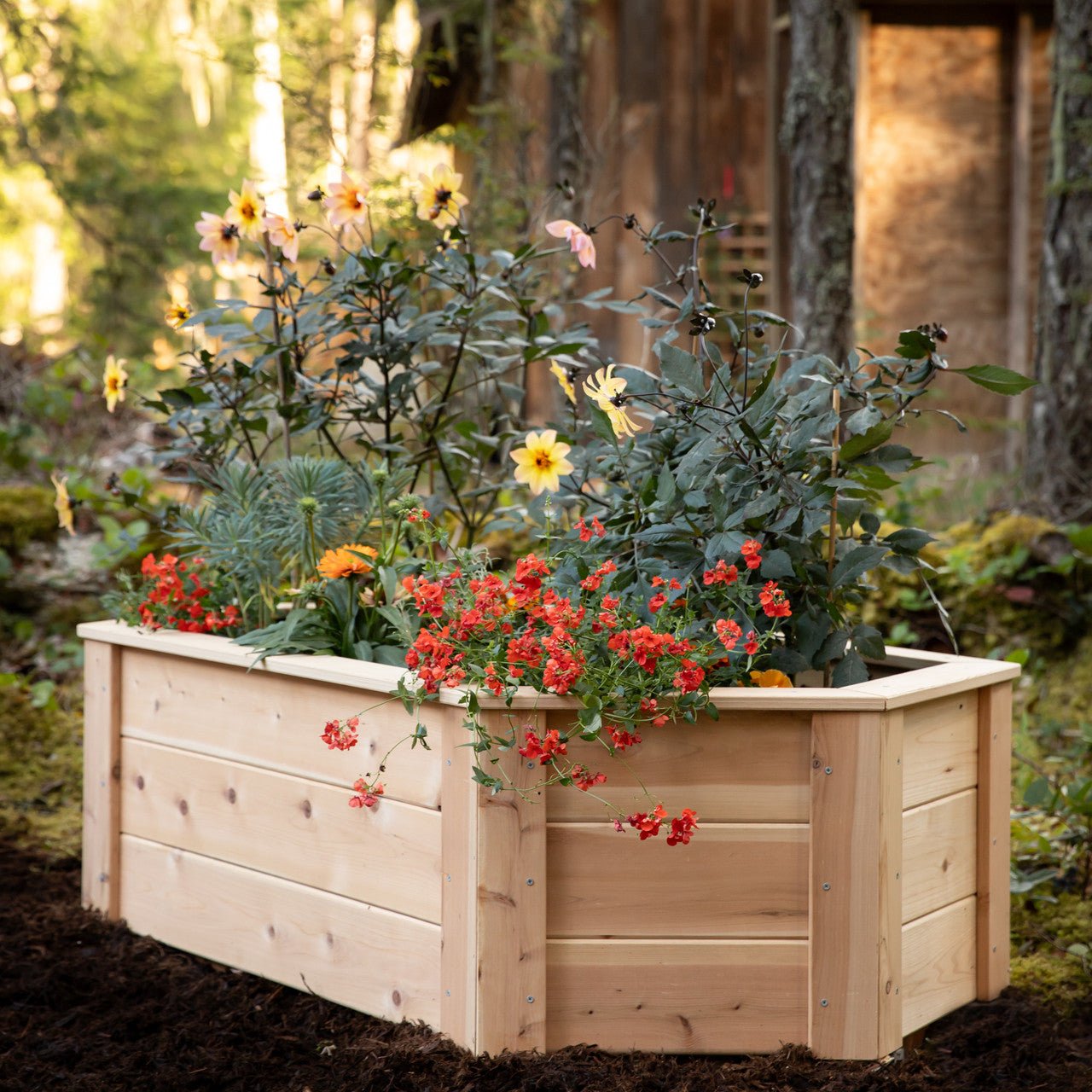 Natural Cedar Hexagon Raised Beds 2' 2' 5.5"